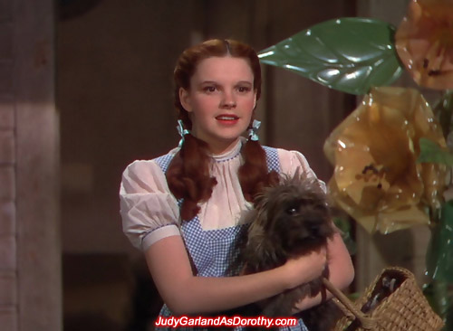 Hollywood beauty Judy Garland as Dorothy arrives in Oz via a tornado