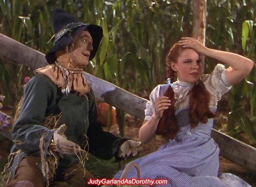 Judy Garland as Dorothy and the 'brainless' Scarecrow in the cornfield