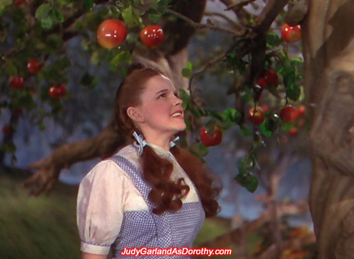 Judy Garland as Dorothy encounters strange creatures like the talking trees