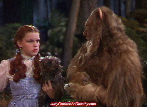 Judy Garland as Dorothy is angry with the Cowardly Lion