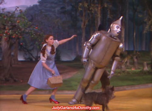 Judy Garland as Dorothy rushes to the Tin Man's aid as he loses balance