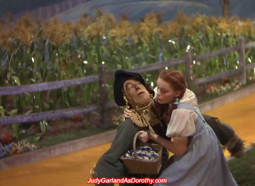 Judy Garland as Dorothy takes hold of the Scarecrow as he falls to the ground