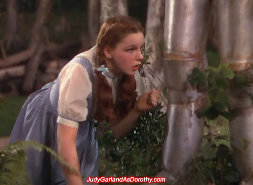 MGM sweetheart Judy Garland as Dorothy examines something made out of tin