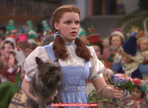 The adorable Judy Garland as Dorothy felt like a giant in Munchkinland